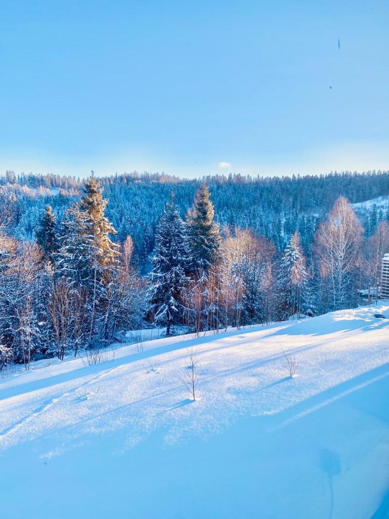 Mount Hotel Славске Екстериор снимка